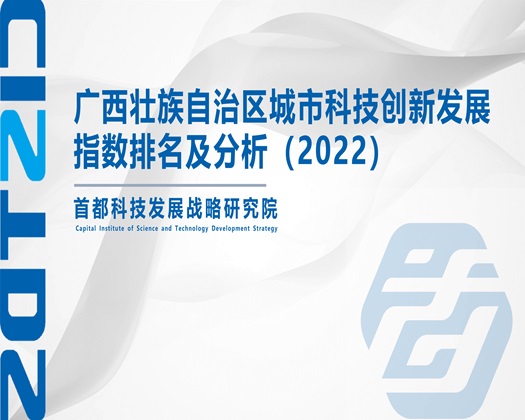 操逼片国产【成果发布】广西壮族自治区城市科技创新发展指数排名及分析（2022）